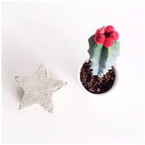 Concrete Star (small)